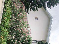 -那琴半岛地质海洋公园