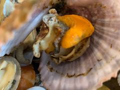 -现代粗粮(星海广场店)