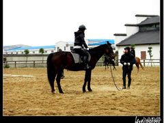 -松声马术俱乐部