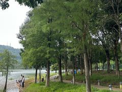 -凤岗南门山森林公园