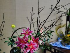 -深圳仙湖植物园