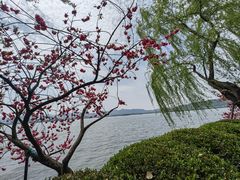 -西湖天地