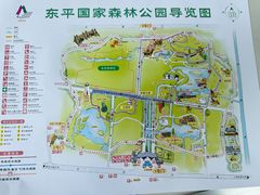 -东平国家森林公园