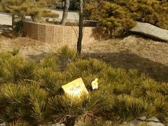 android_upload_pic-泰山花样年华景区