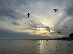 -老虎石海上公园