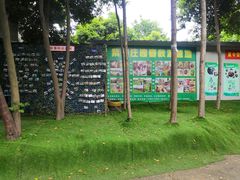 -勇士之星真人CS·团建·拓展(清水河公园店)