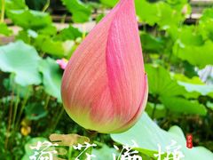 -郭庄景区