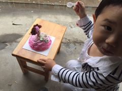 -幸福鸟生日蛋糕(临西店)
