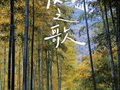 -众神白水涧景区