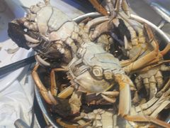 -半岛听涛蒸汽海鲜自助(K11店)