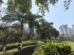 -龙头寺公园