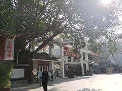 -荔湾湖公园