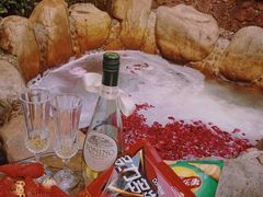-北京益泉花园酒店