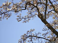 -东天目山风景区