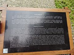 -金沙遗址博物馆