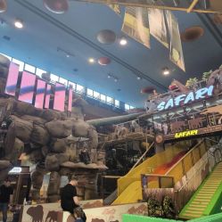 -卡通尼·Safari非洲探索乐园·生日会(金桥国际商业广场店)