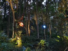 -深圳仙湖植物园