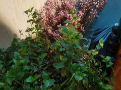 -斯多格书乡(北京大学畅春园店)