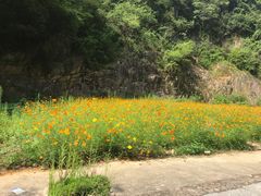 -浙北大峡谷