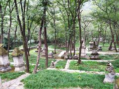 -北京上方山国家森林公园
