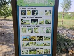 -西青郊野公园