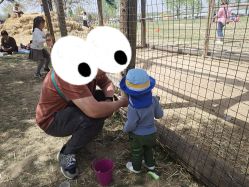 -上美四季动物农场