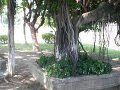 android_upload_pic-集美学村