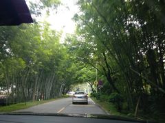 -红山村