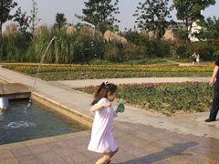 -暨阳湖生态园