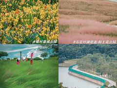 -四海公园(南山区)