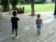 -万绿园