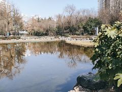 -木塔寺遗址生态公园
