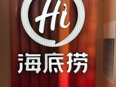-海底捞火锅(吾悦国际广场店)