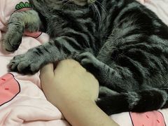 -福州肆爪动物医院
