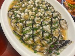 -呼吸森林·生态农庄农家乐私房菜