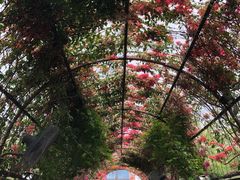 -The Grounds of Alexandria