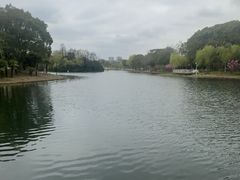 -新江湾城公园