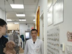 -宠福鑫康馨动物医院·骨科·眼科