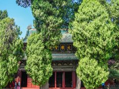 -报恩寺(平武县)