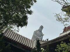 -天津妈祖文化园