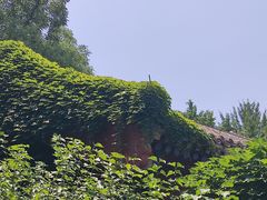 -月坛公园