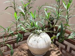 -肯德基(盘龙奥莱店)