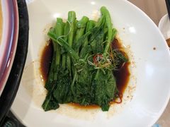 -食神鱼头佛跳墙(百子湾旗舰店)