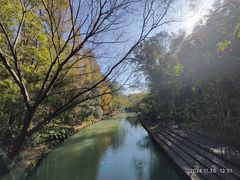 -同里国家湿地公园