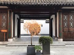 -帐篷客·溪龙茶谷度假酒店