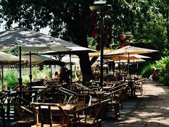 -成都市活水公园