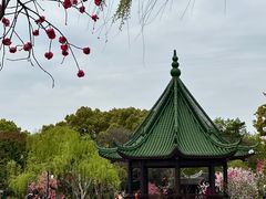 -无锡蠡湖国家湿地公园-蠡园