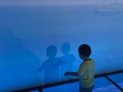 -上海长江河口科技馆