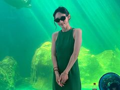 -广东惠东海龟国家级自然保护区