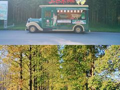 -黄海国家森林公园